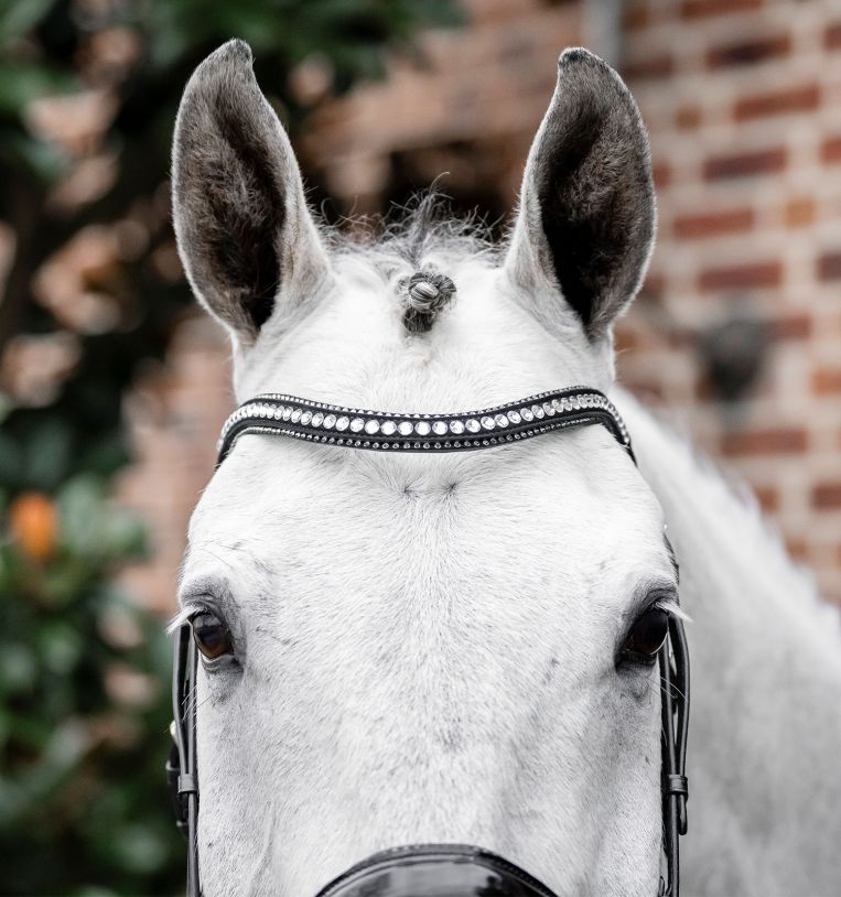 Horseware Diamante Flash Bridle stævne trense