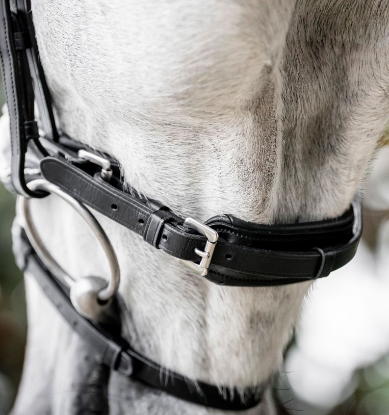Horseware Diamante Flash Bridle stævne trense