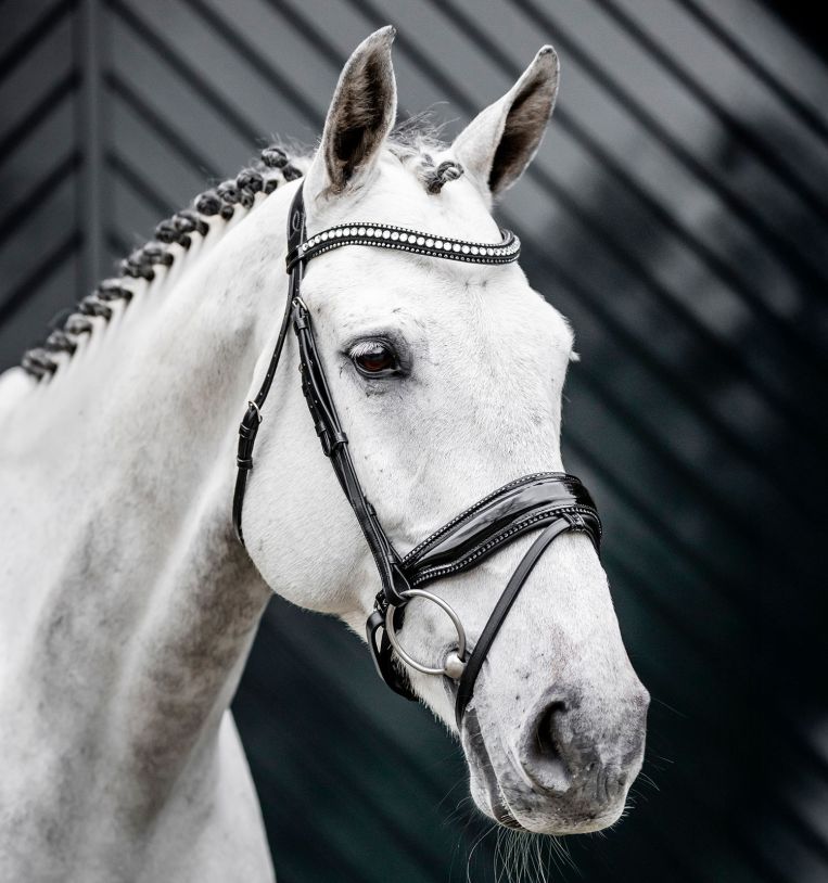 Horseware Diamante Flash Bridle stævne trense